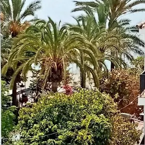  Apartamento Beach Old Town España